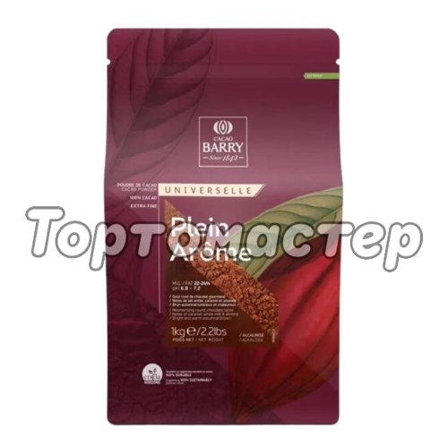 Какао-порошок CACAO BARRY Plein Arоme Алкализованный 80 г 